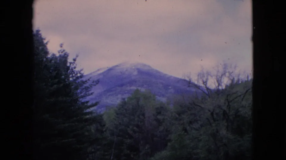 1964 8mm home-movie frame showing a distant mountain slope behind dense trees, with evergreen silhouettes, bare branches, and faded purple-blue film color.