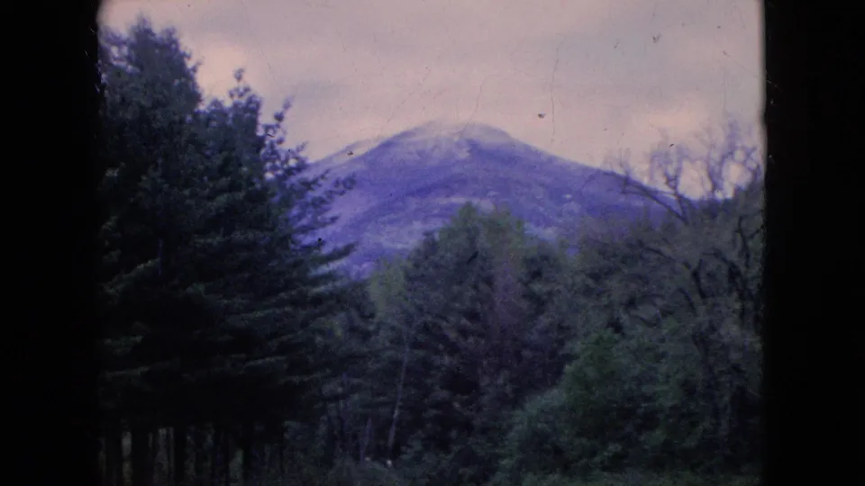 1964 8mm home-movie frame of a rounded mountain peak beyond mixed woodland, with dark evergreens, spring-like branches, and visible 8mm frame borders.