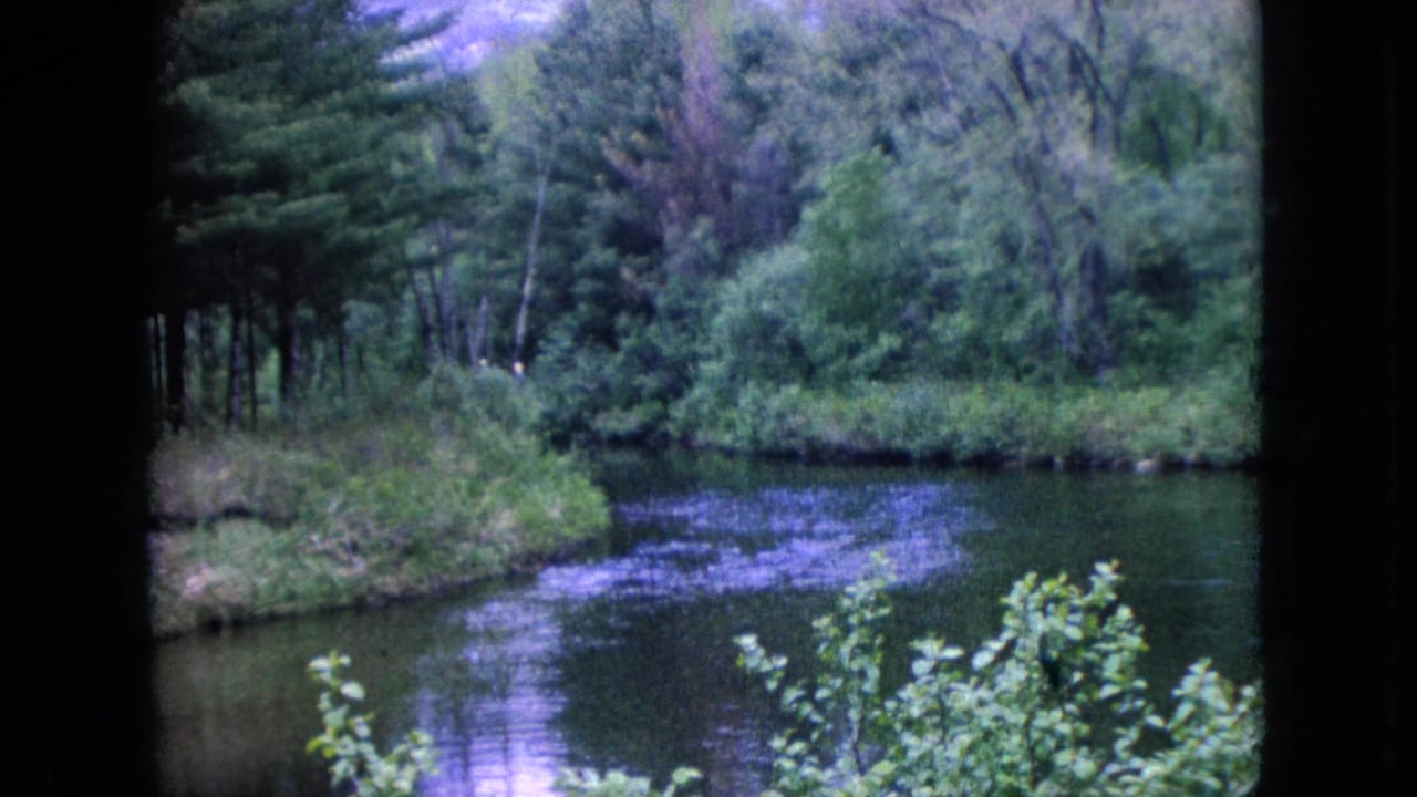 Calm river curving through dense green trees and brush.