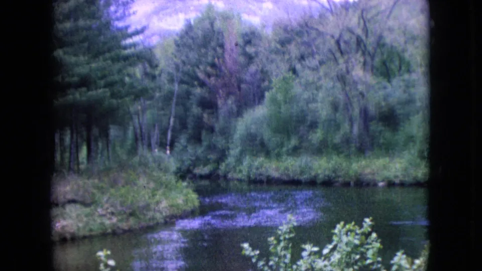 1960s 8mm home-movie frame showing a wooded river bend with leafy foreground growth, tall trees, and soft grainy color.