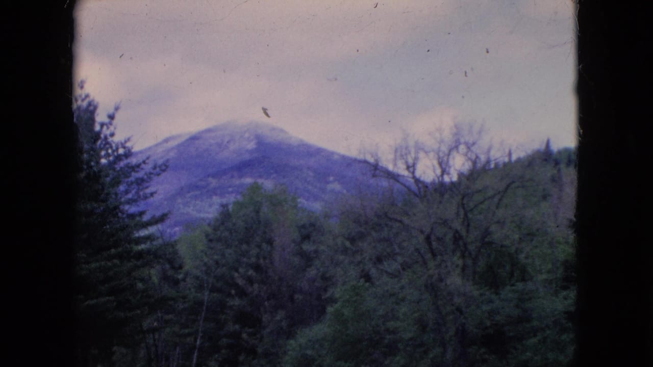 A distant snowy mountain or high hill appears above dense trees in a faded 1964 8mm frame, with cloudy sky and visible film wear.