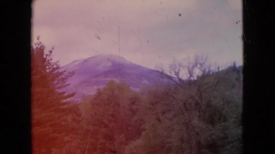 1964 8mm frame of a snowy mountain or hill seen past trees, with a reddish film flare and faded purple-green color.