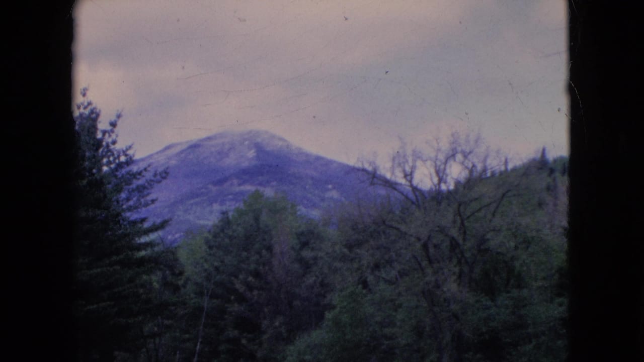 1964 8mm home-movie frame showing a distant snow-dusted high hill beyond evergreen trees and bare branches, bordered by a dark window or film-frame edge.