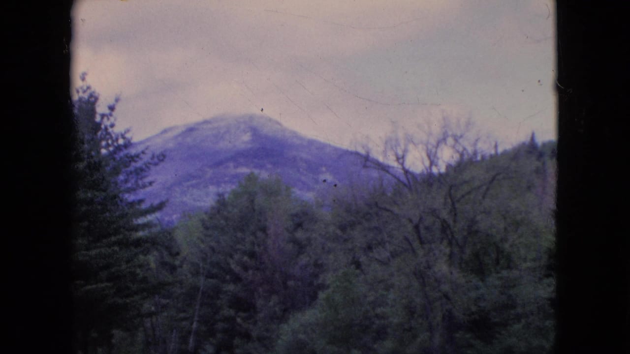Distant snowy hill framed by trees and dark vertical borders.