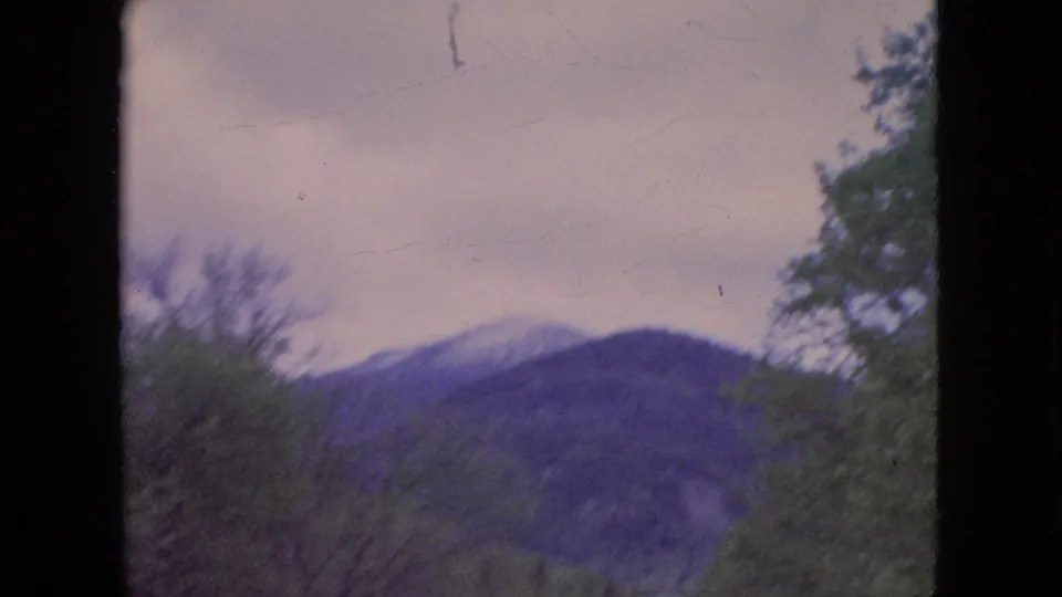 1964 8mm home-movie frame showing a hazy mountain slope behind trees under a pale sky, with dark film or window edges and visible surface marks.