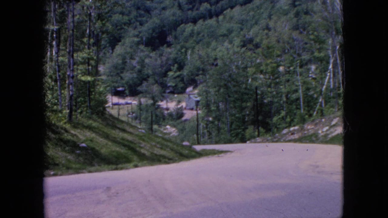 1960s 8mm home-movie frame showing a pale road curving through dense green trees, with a small distant structure and dark frame edges visible.