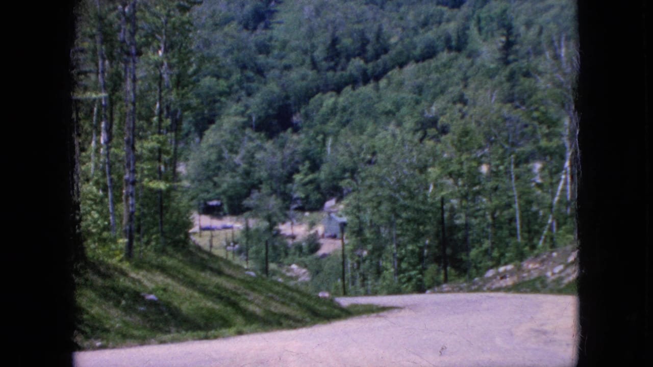 Curving road descending past dense green trees and a distant small building.