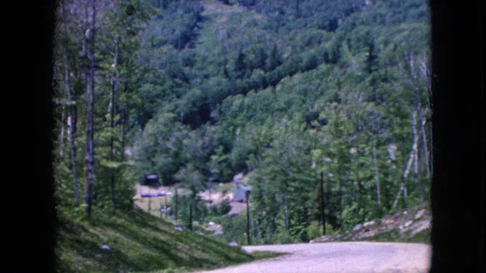 Soft 8mm travel frame showing a forested hillside beside a pale road, with a small distant building and utility poles in the background.