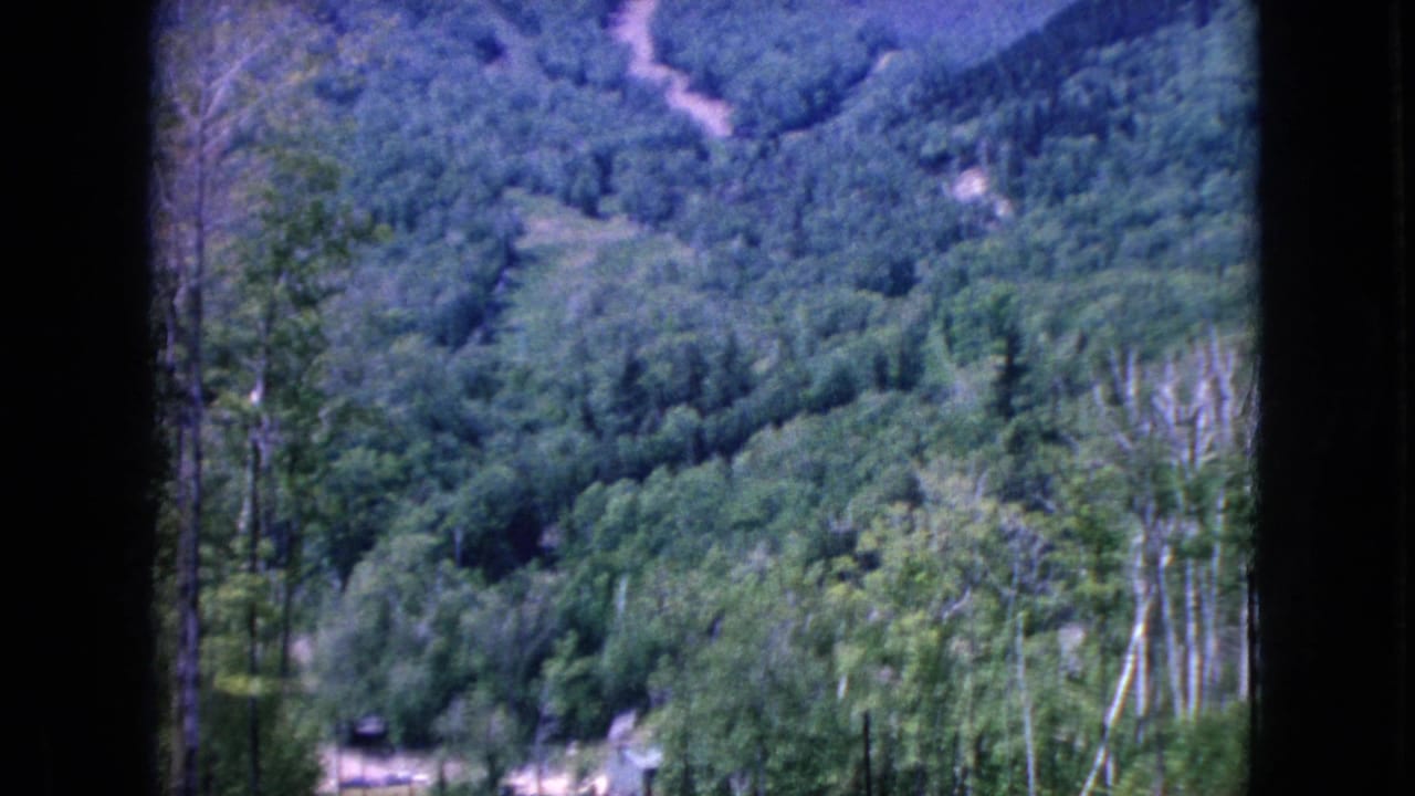 1964 8mm home-movie frame of a wooded mountainside in the United States, showing dense trees, a pale winding road or cleared track, and dark frame edges from the shooting or scan position.