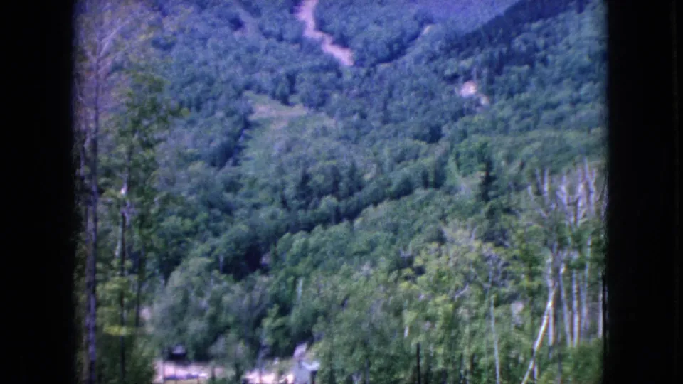 1964 8mm home-movie frame of a wooded mountainside in the United States, showing dense trees, a pale winding road or cleared track, and dark frame edges from the shooting or scan position.