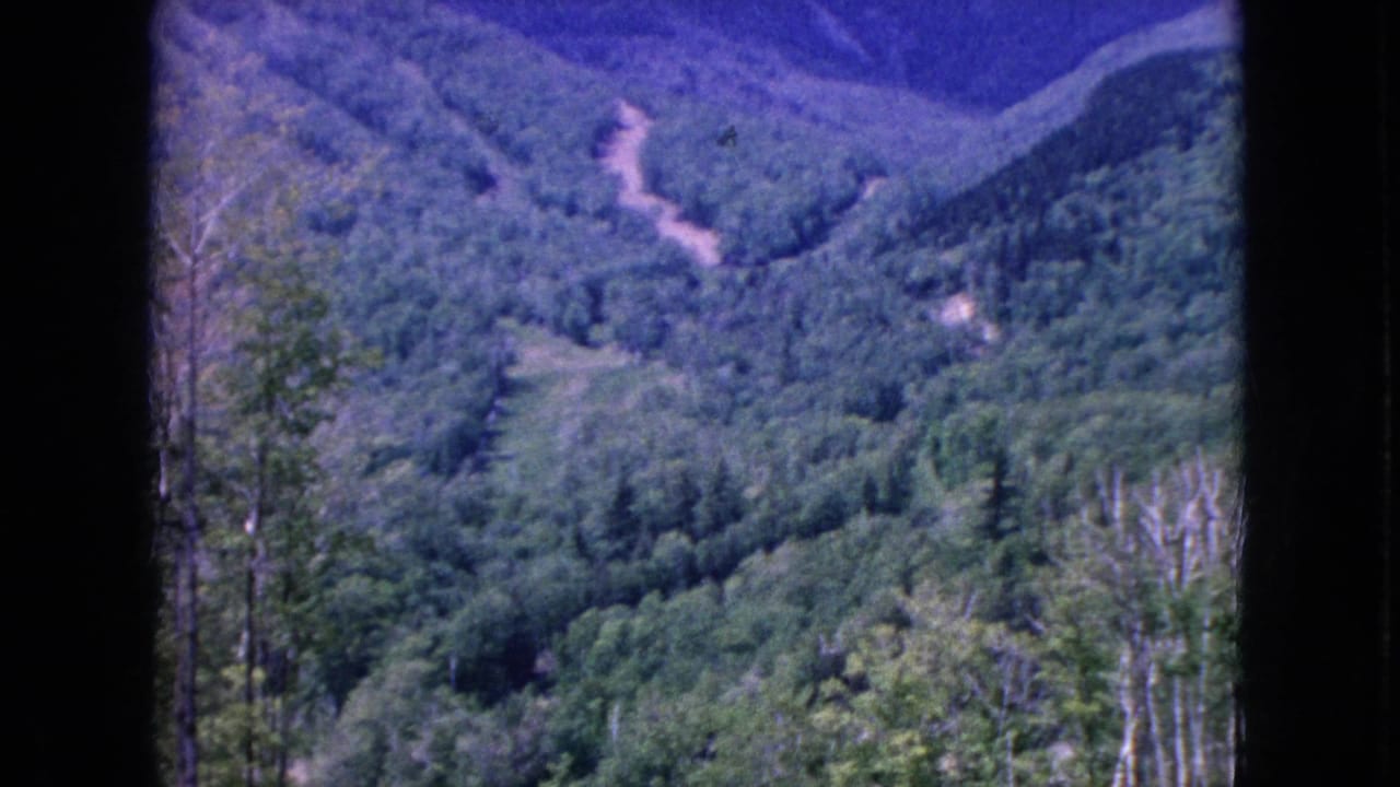 Wooded mountain ridge with a pale winding road or clearing crossing the slope.
