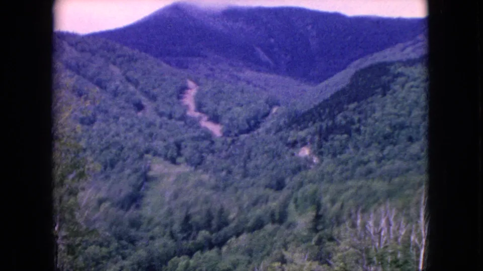 1964 archive frame showing a rural forested mountain view, with a light-colored road or cleared path rising through the trees beneath a darker distant ridge.