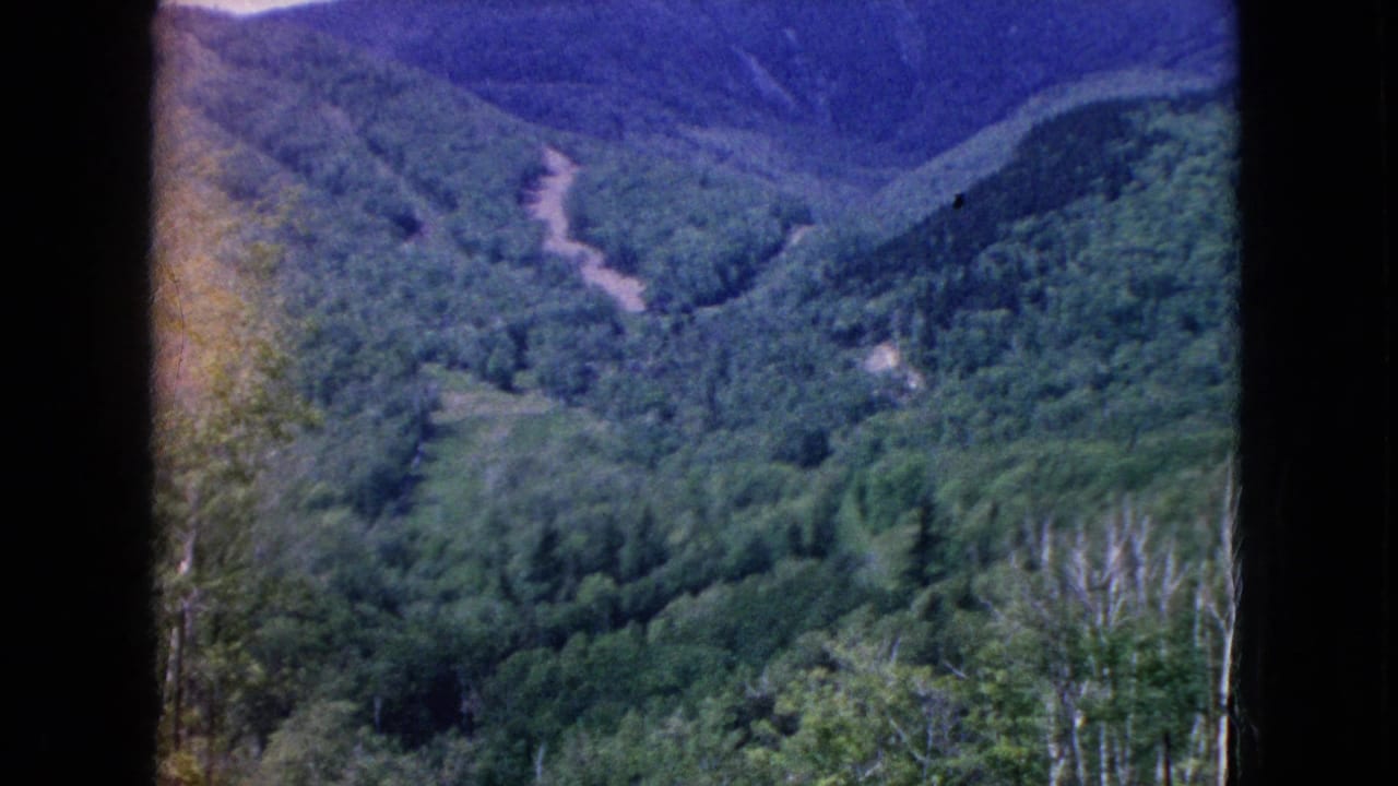 A visitor-shot 8mm view of forested United States mountain slopes, with a pale road or path cutting through the trees and dark frame bars at the sides.