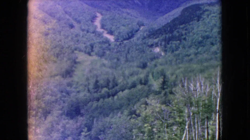Soft 8mm frame of a green mountain valley, with a winding hillside path, dense trees, and light haze or exposure flare along the left side.