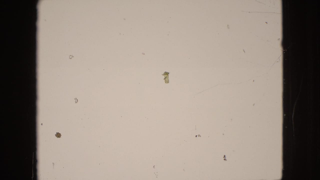 A mostly blank pale 8mm frame shows dark vertical film edges, scattered dust specks, scratches, and small debris marks from the aged reel.