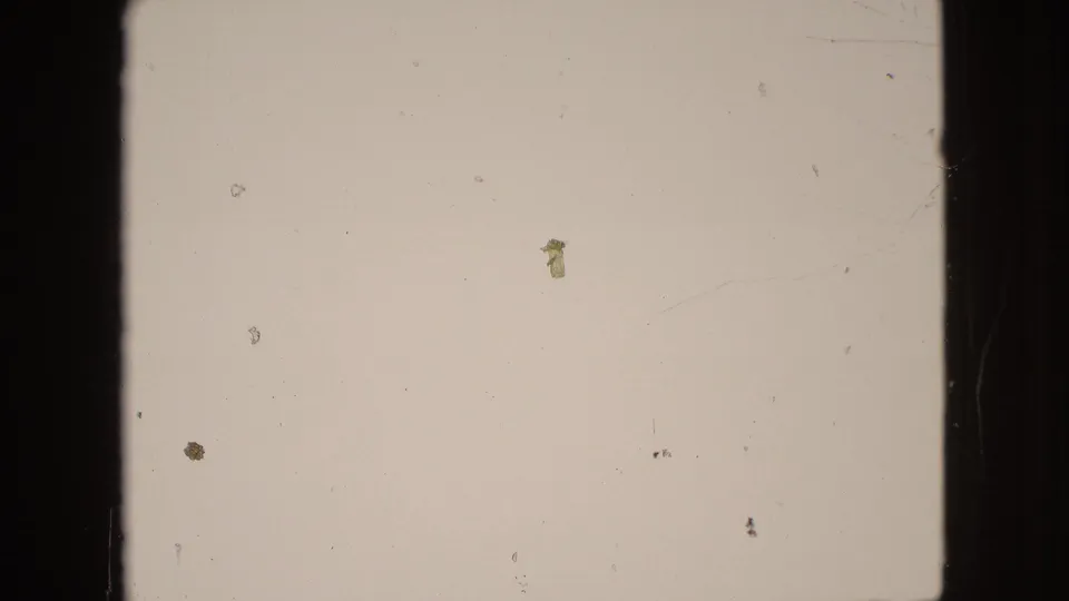 A mostly blank pale 8mm frame shows dark vertical film edges, scattered dust specks, scratches, and small debris marks from the aged reel.