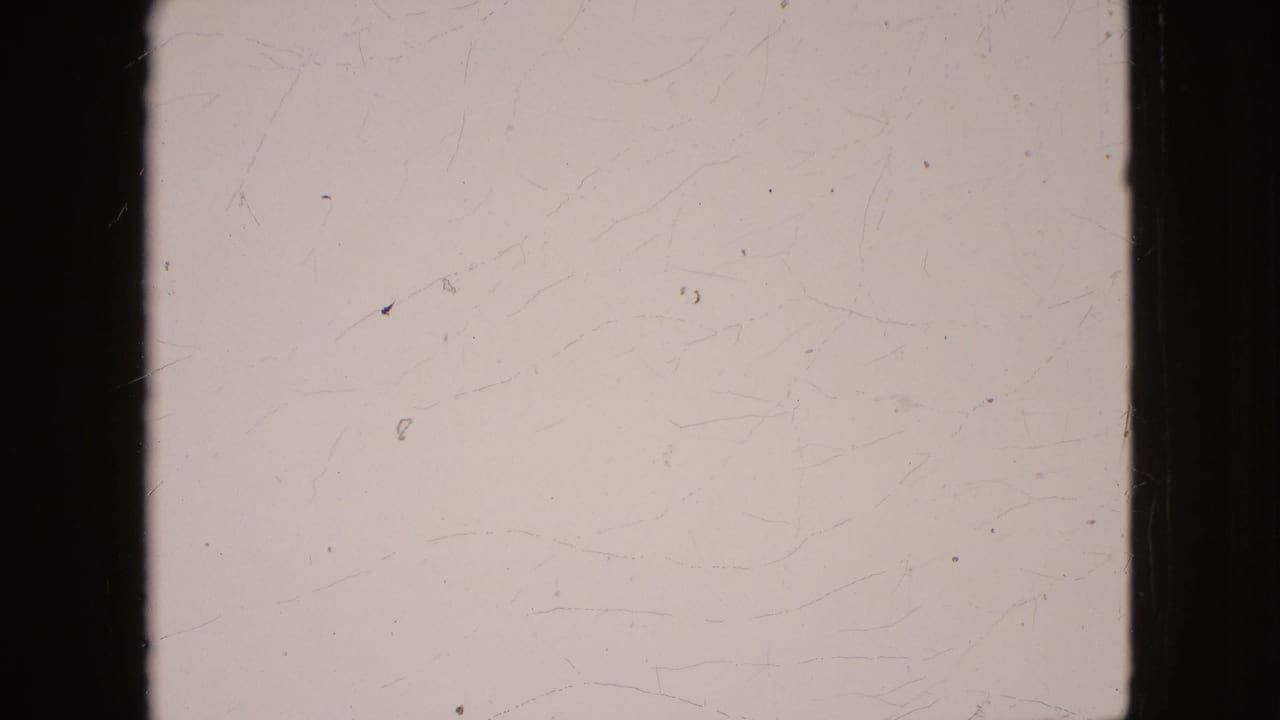 A mostly blank overexposed 8mm frame from the 1964 clip, with visible film scratches, dust, and dark vertical frame borders.