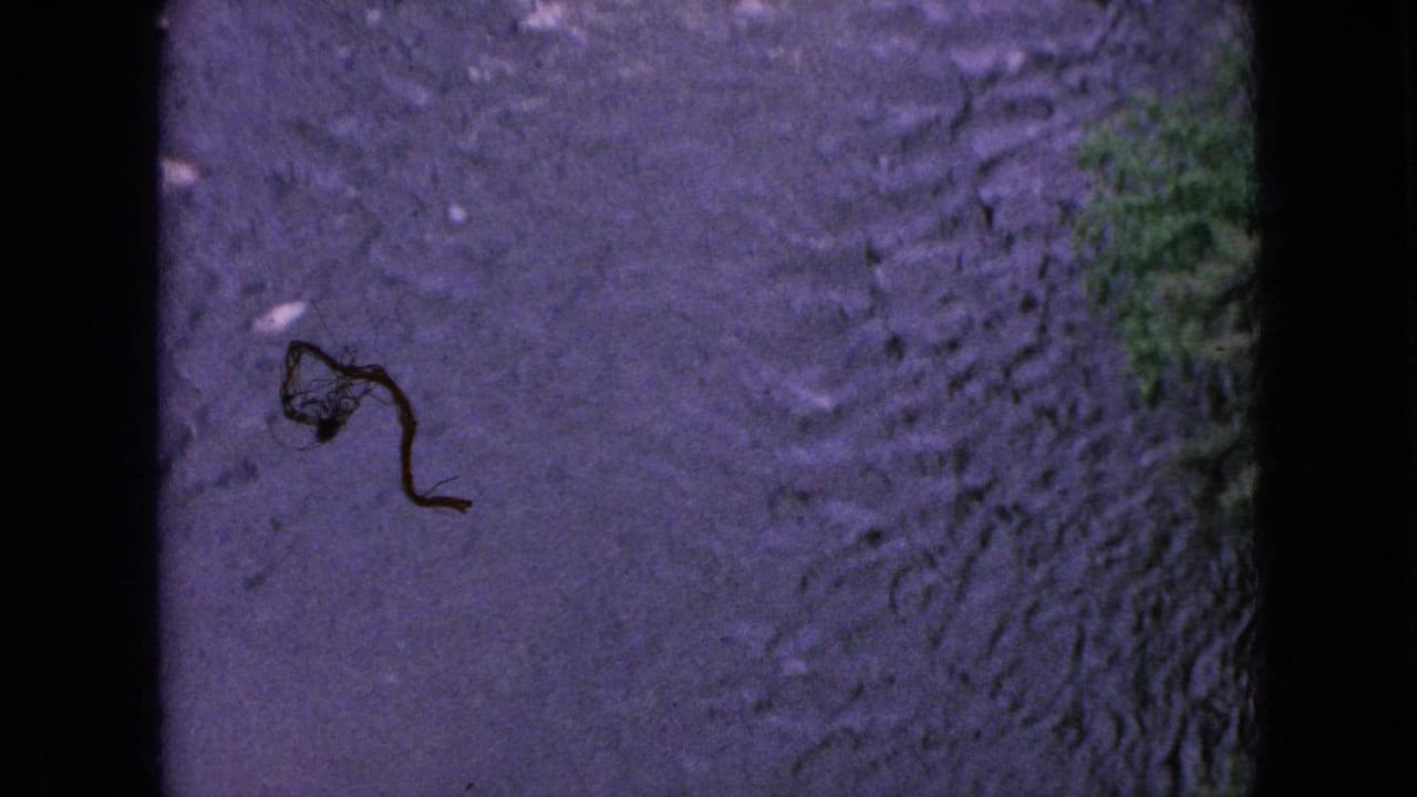 Rippling dark water with a small dark scratch or debris mark over the frame.