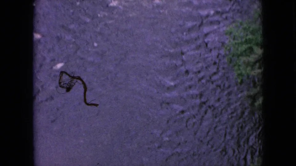 1964 8mm home-movie frame from the Niagara Falls, New York area showing rippled dark stream water, a narrow green edge, and a visible dark mark on the film image.
