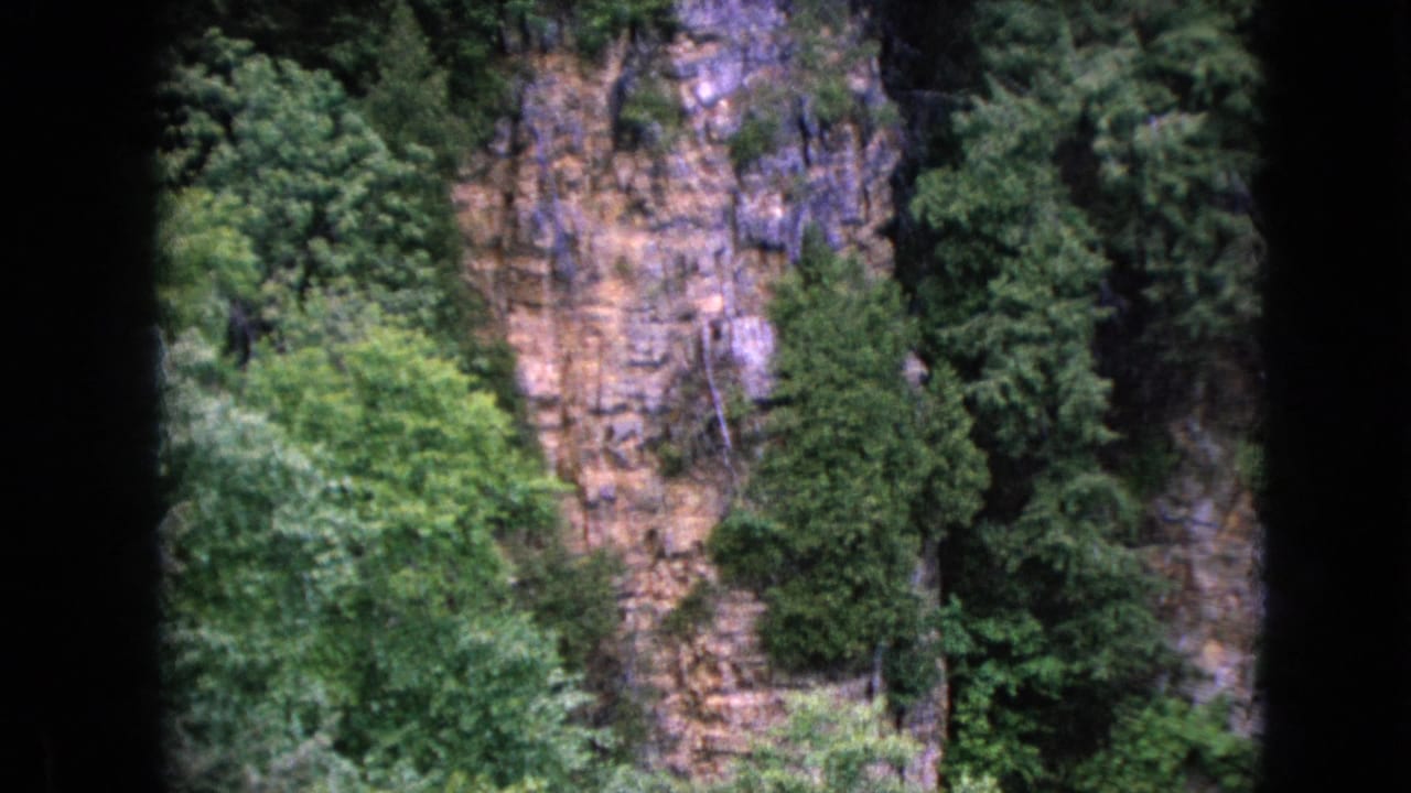 1964 Niagara Falls home-movie frame showing a wooded rock wall with dense green foliage and a dark 8mm frame edge.