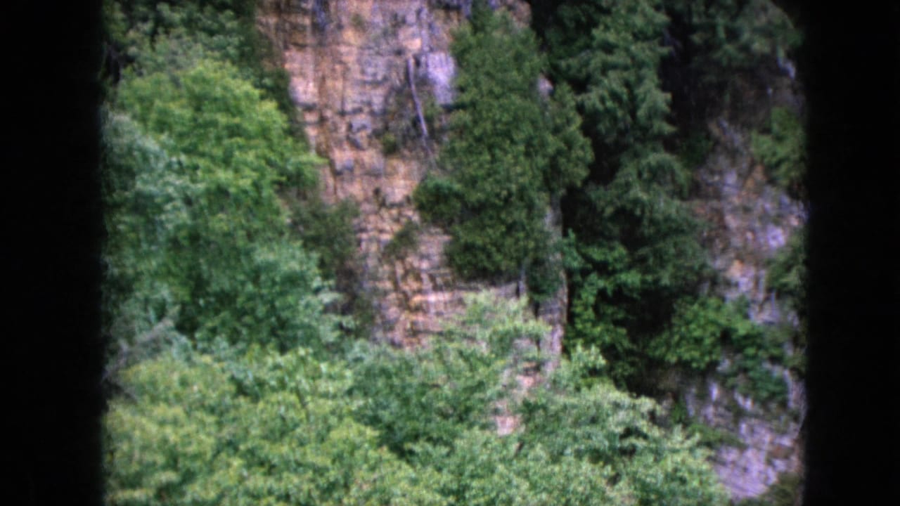 Steep rock face with trees and shrubs growing along ledges.