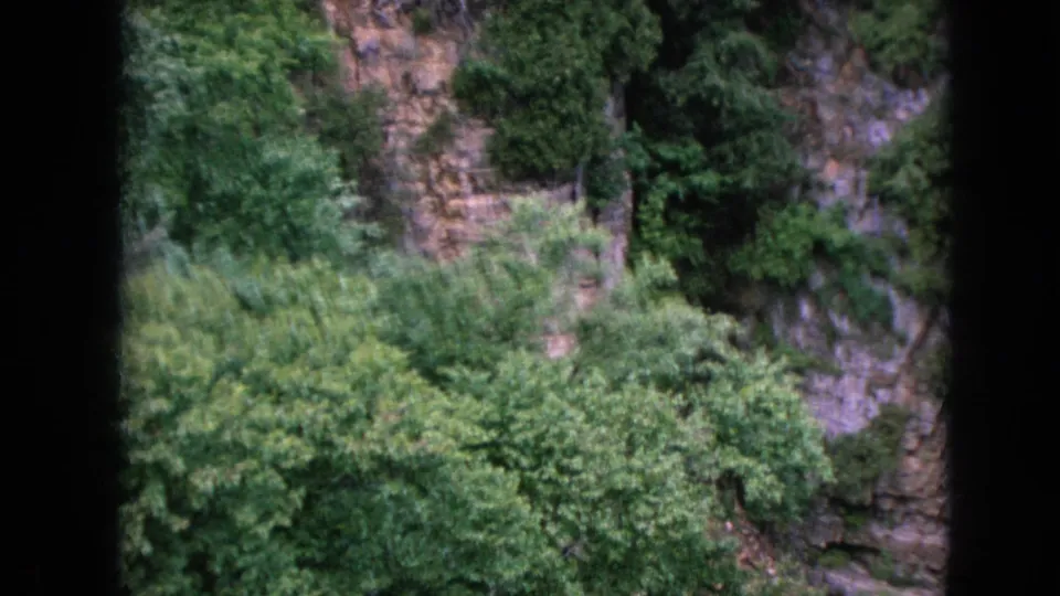 1964 8mm vacation footage frame with soft focus on dense green treetops backed by a rugged, shaded rock wall.