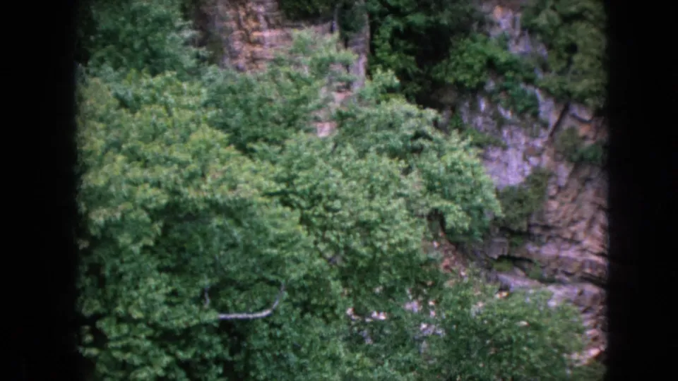 Niagara Falls, New York home-movie frame showing leafy vegetation against exposed cliff rock, with visible 8mm frame borders and soft archival color.