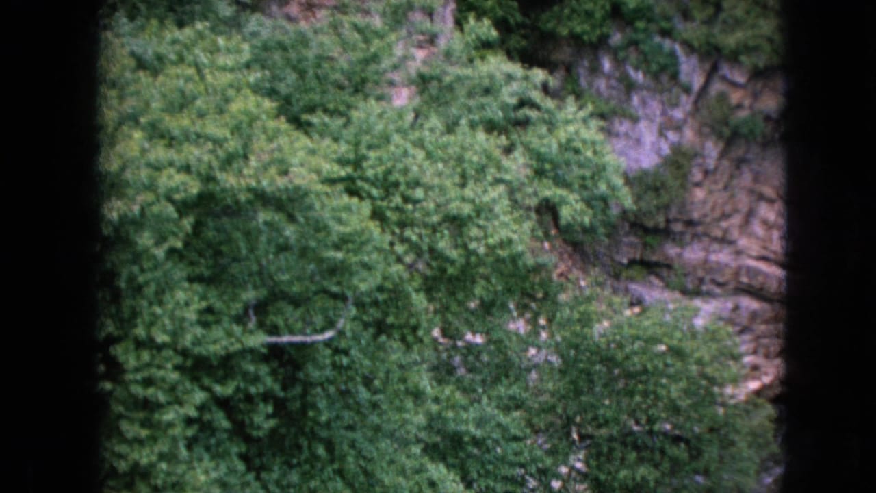 1964 8mm home-movie frame from Niagara Falls, New York showing a rocky canyon wall, thick green foliage, and rushing river water viewed through dark vertical edges.