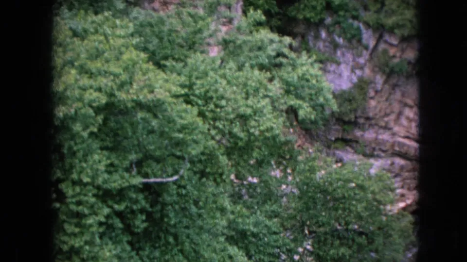 1964 8mm home-movie frame from Niagara Falls, New York showing a rocky canyon wall, thick green foliage, and rushing river water viewed through dark vertical edges.
