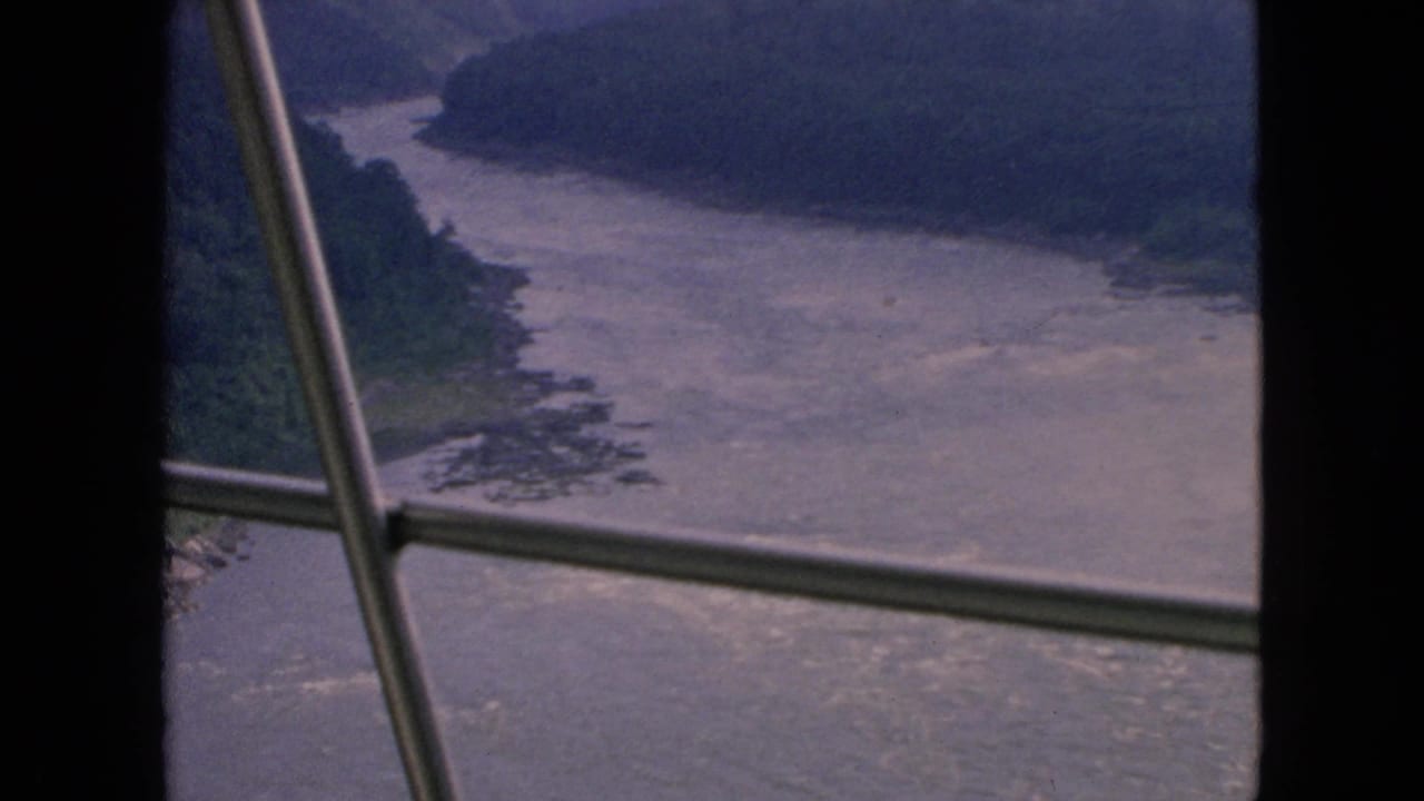 Forested river gorge with pale rapids, seen past diagonal and horizontal metal bars.