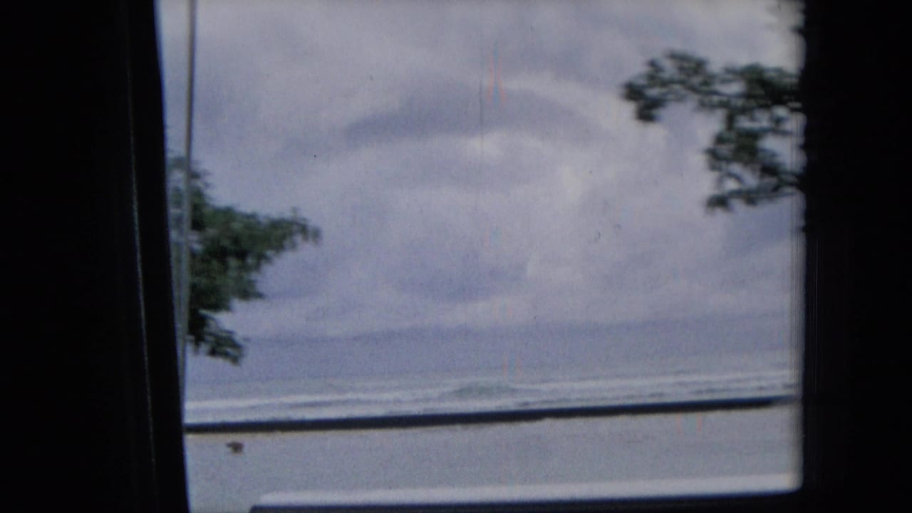 1965 Hawaii home-movie frame looking past dark vehicle window edges toward a cloudy coastal horizon, with tree branches visible at the roadside.