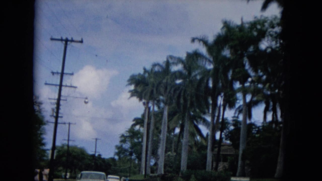 1965 Hawaii roadside frame from the coastal drive, showing palm trees, utility poles, flags or banners, roadside greenery, and cars beneath a bright cloudy sky.