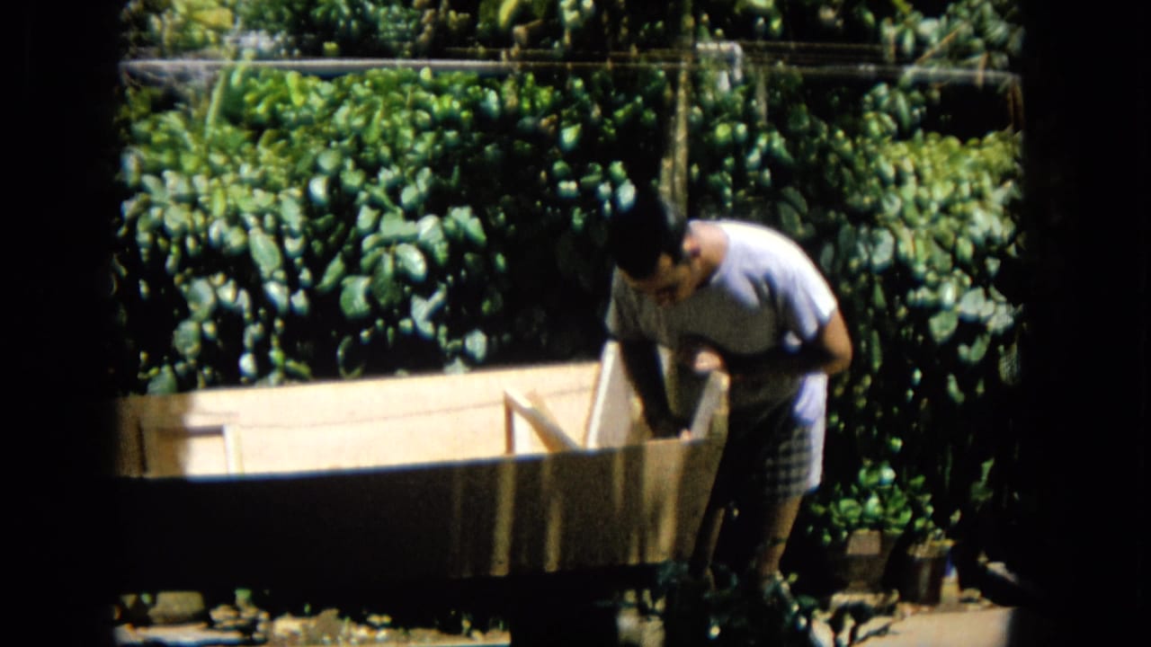 The man is seen more frontally as he works over the open wooden structure, with bright sunlight, leafy shrubs, and home-movie frame borders around the shot.