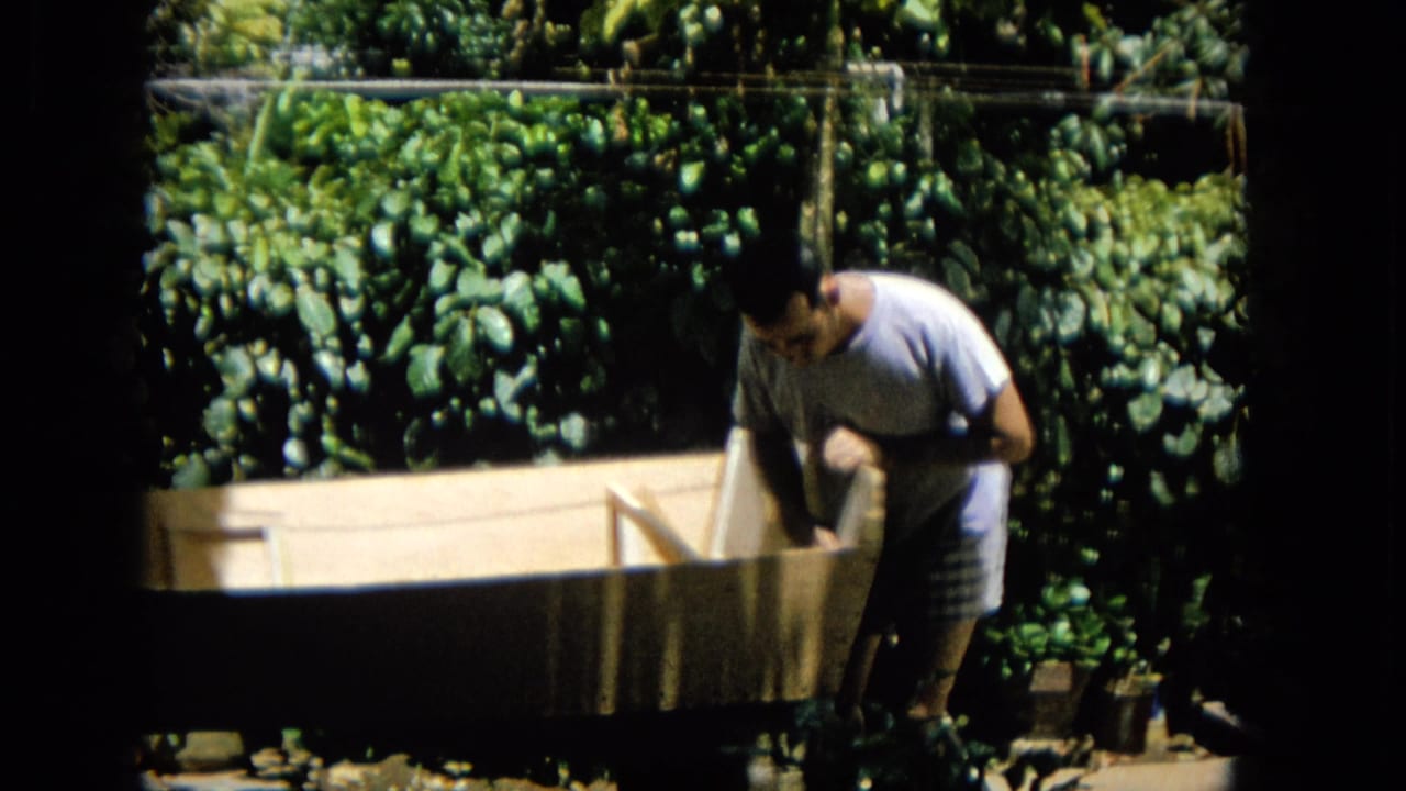 In 1965 Hawaii home-movie footage, an adult man in a light shirt bends over a wooden boat form beside dense green foliage.
