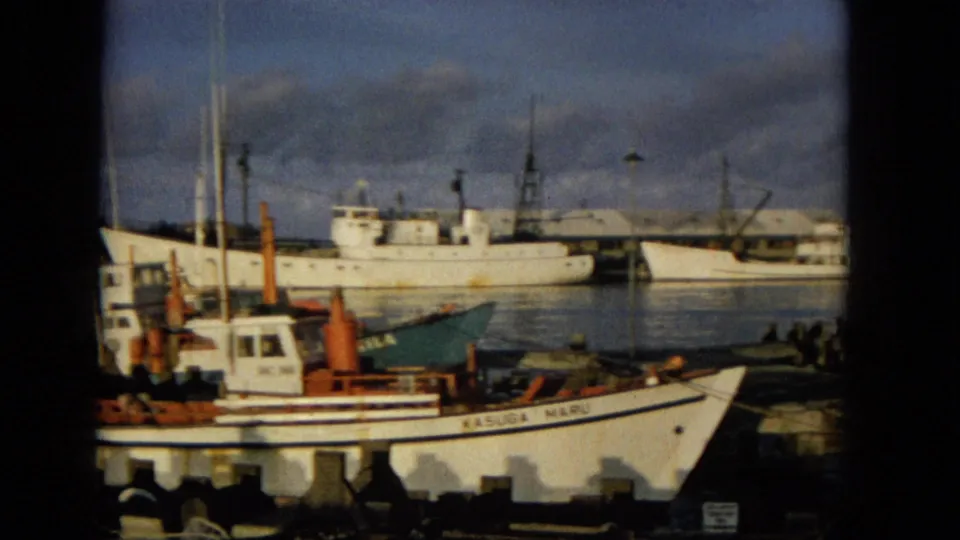 1965 Hawaii harbor frame showing white fishing vessels moored near a wharf, with calm water and cloudy sky in the background.