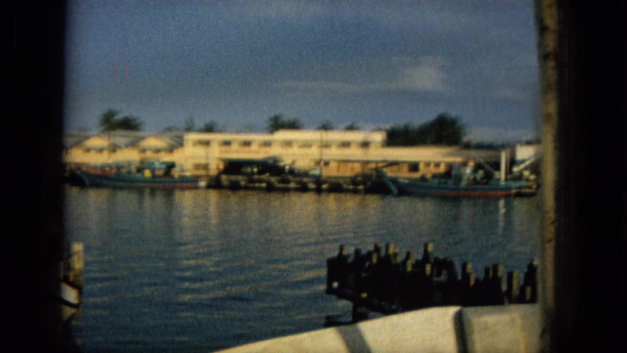 Harbor water with dock pilings, low buildings, and boats along the far shore.