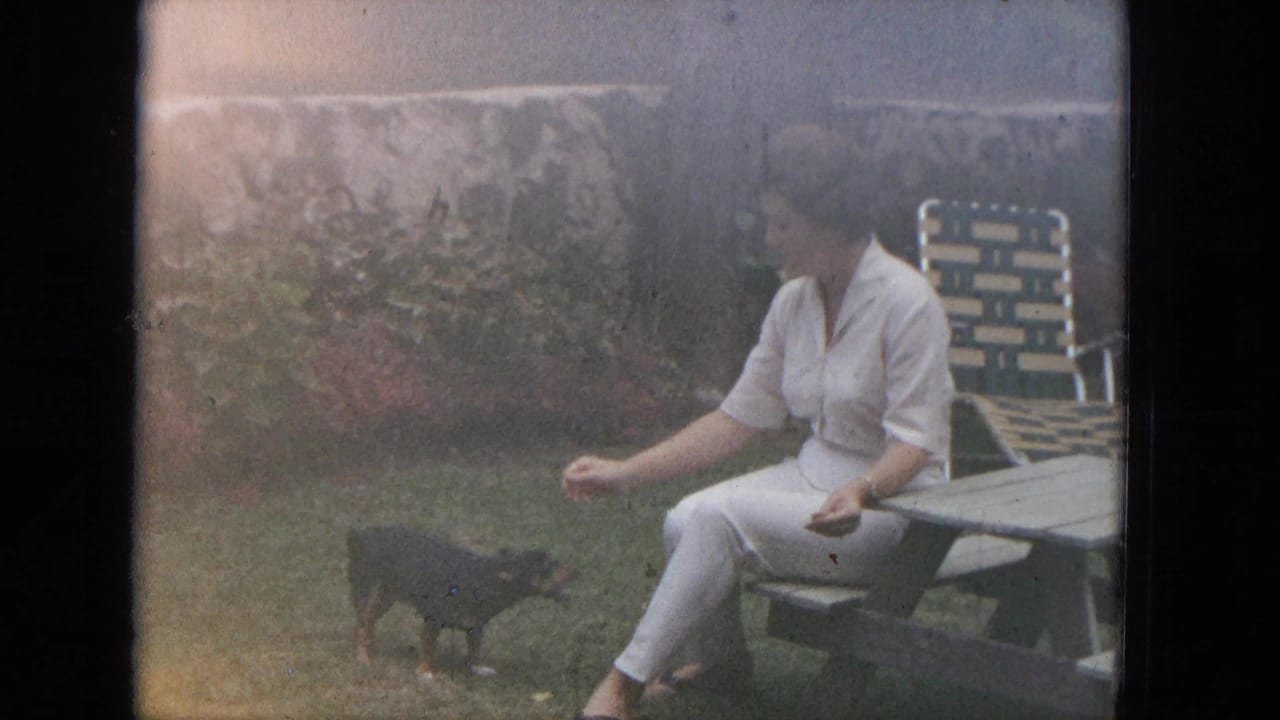 Woman in white seated at a picnic table, reaching toward a small black dog in a grassy yard.