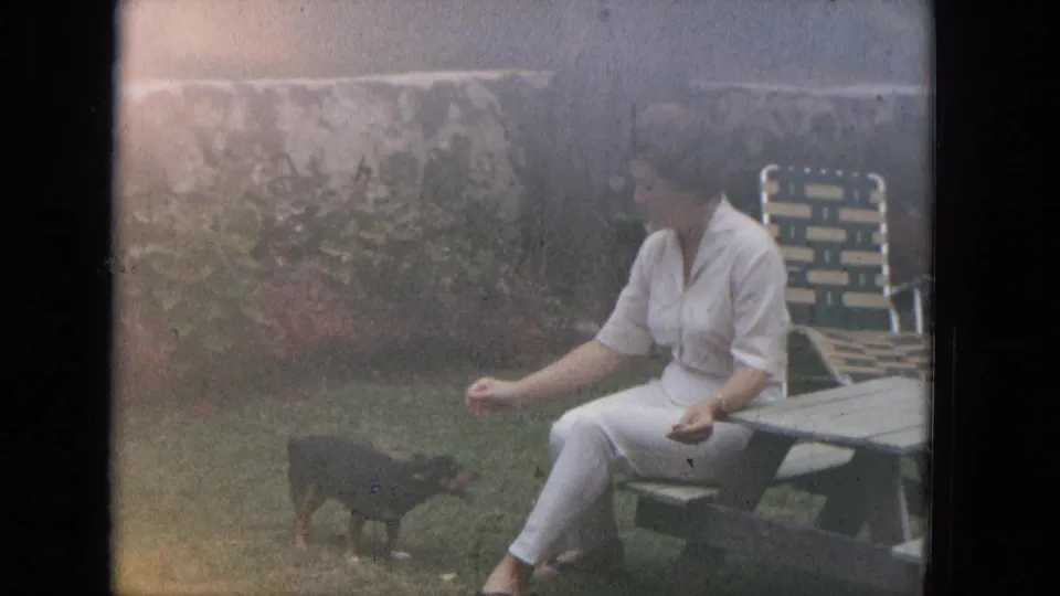 In a 1965 home-movie frame, a woman in white sits beside a picnic table and reaches toward a small black dog on grass near a stone wall and shrubs.