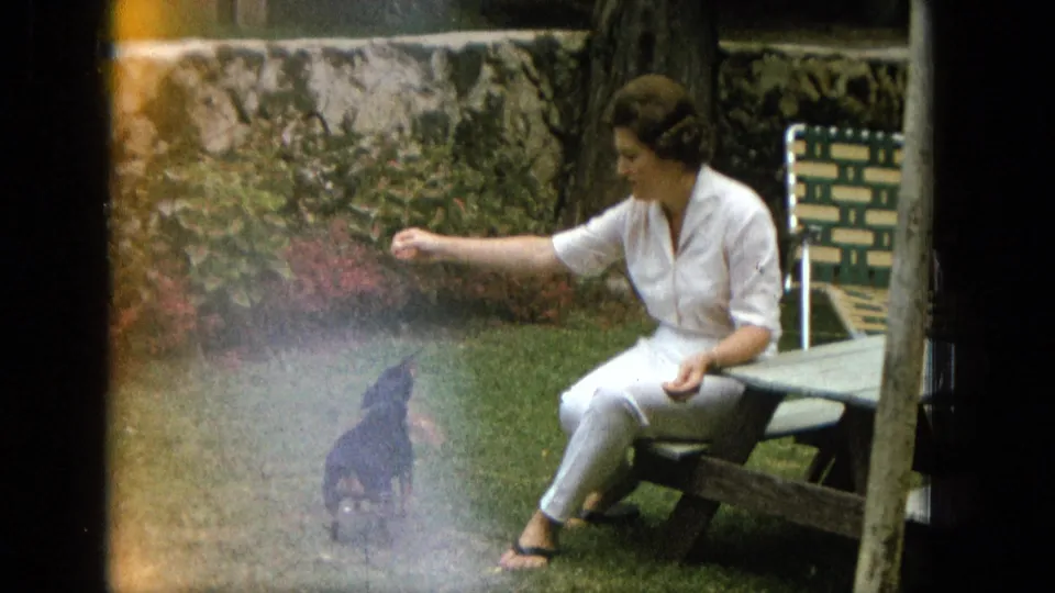 The woman in white extends one hand toward the small black dog as it sits on the grass near the picnic table, with a tree, chair, wall, and garden plants in view.