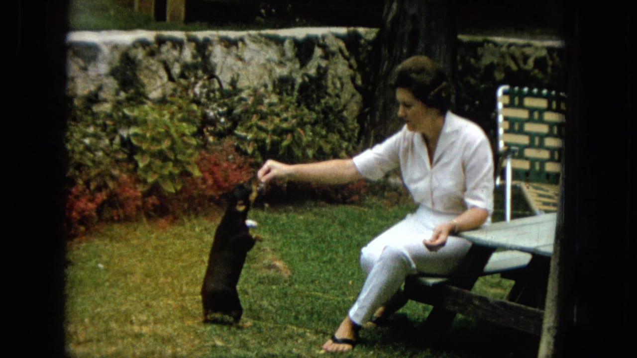 Small black dog stands on its hind legs as a seated woman holds a treat above it.