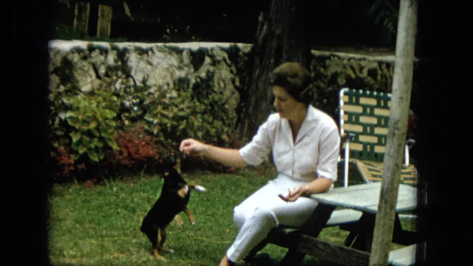 The woman leans toward the small black dog, which stretches up near the picnic table in a lush outdoor garden setting.