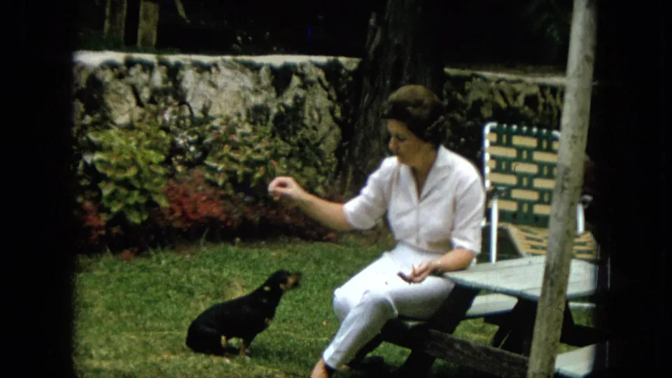 At the end of the brief 8mm moment, the small black dog sits back on the lawn while the woman in white keeps her hand extended from the table.