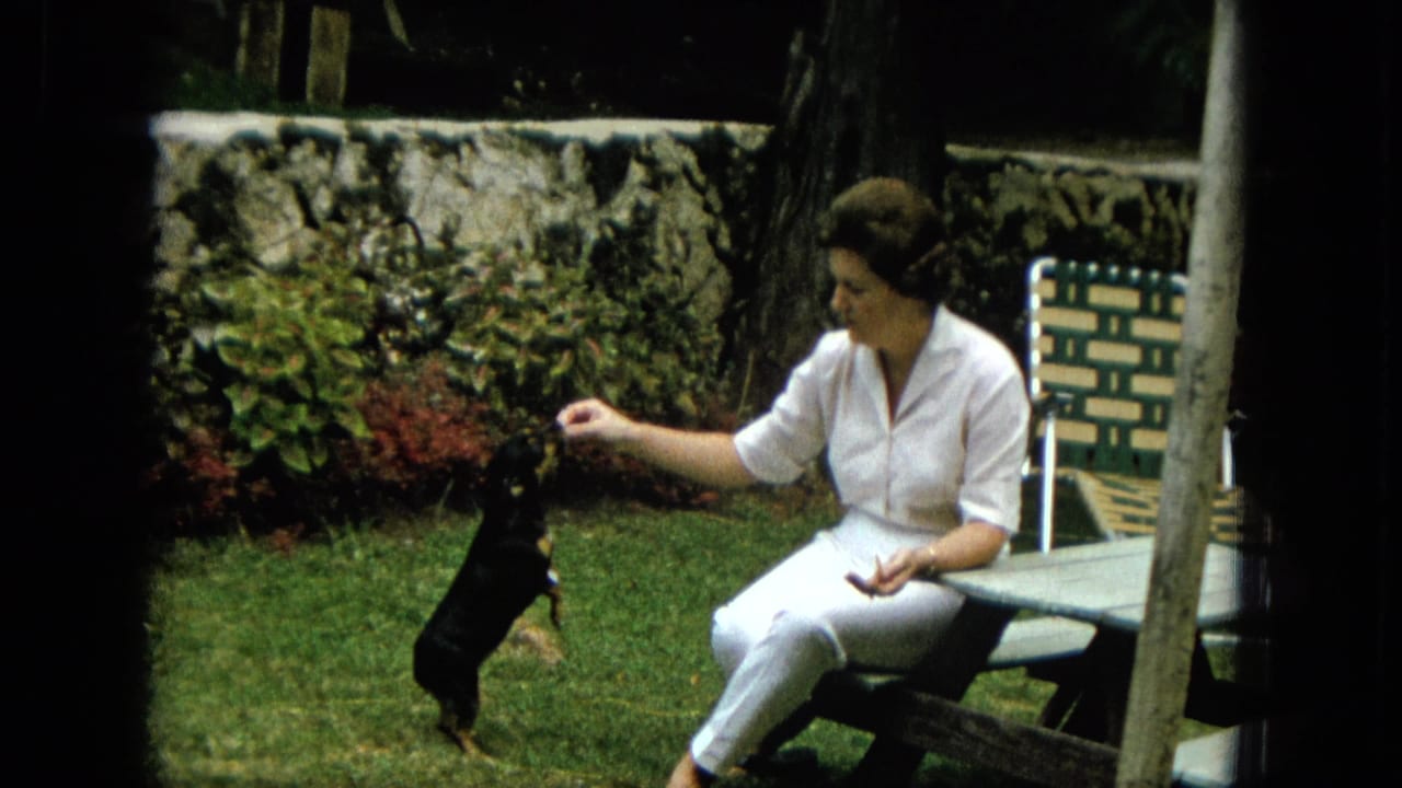 In 1965 Hawaii home-movie footage, a woman in a white outfit sits beside a picnic table and trains a small black-and-tan dog in a garden.