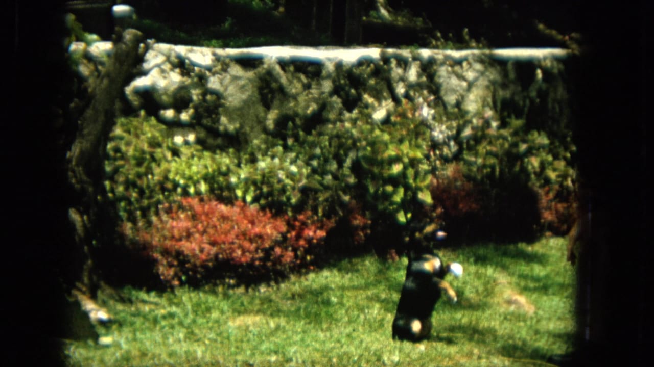 The small black dog remains upright in the sunny garden, framed by grass, shrubs, tree shadows, and the pale stone wall visible in the background.