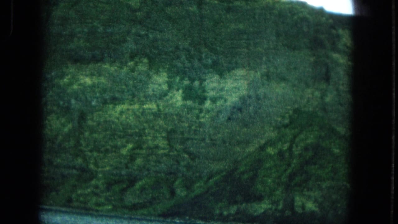 Vegetated hillside divided by a dark vertical window bar.