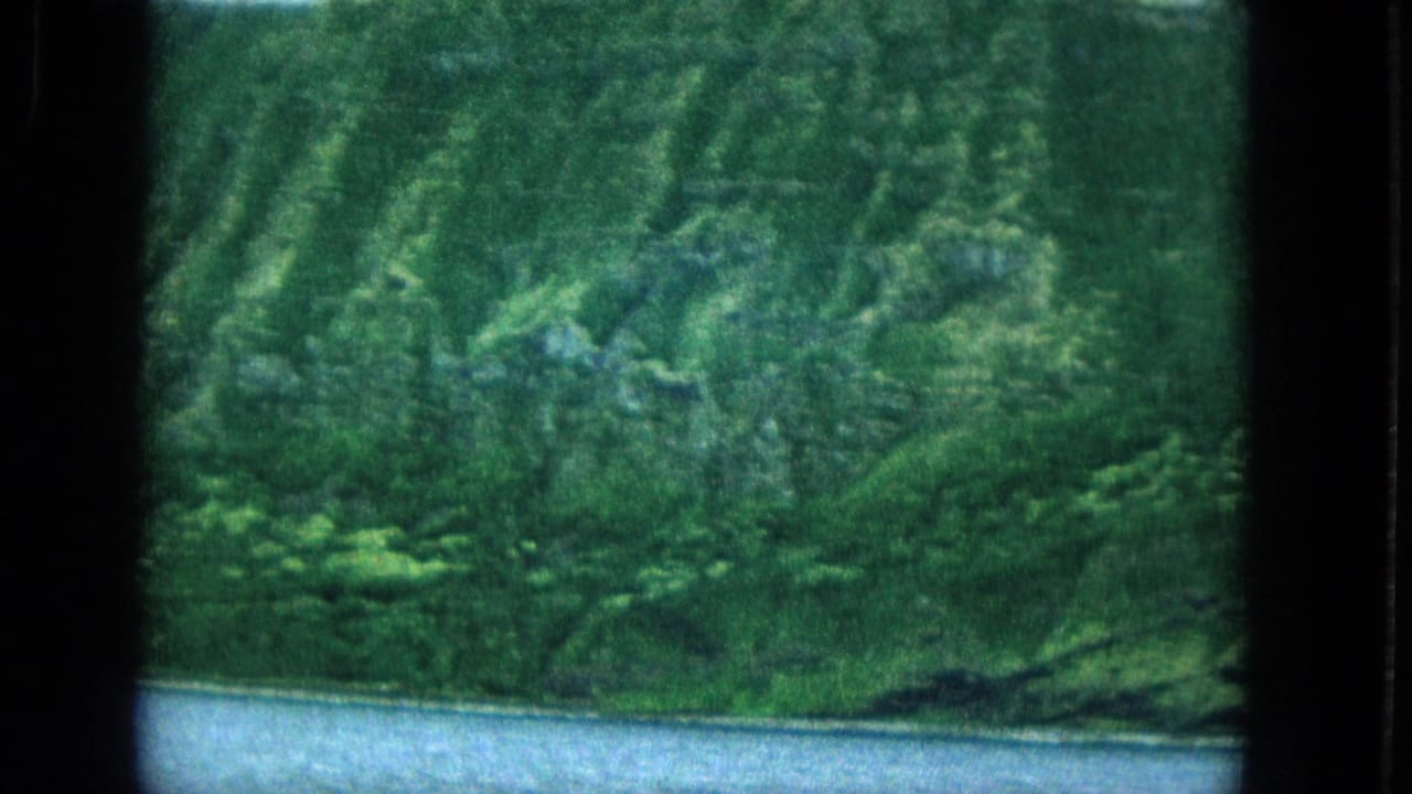 1965 Super 8 frame from Molokai, Hawaii, showing a steep green rocky cliff with shoreline water visible at the bottom.