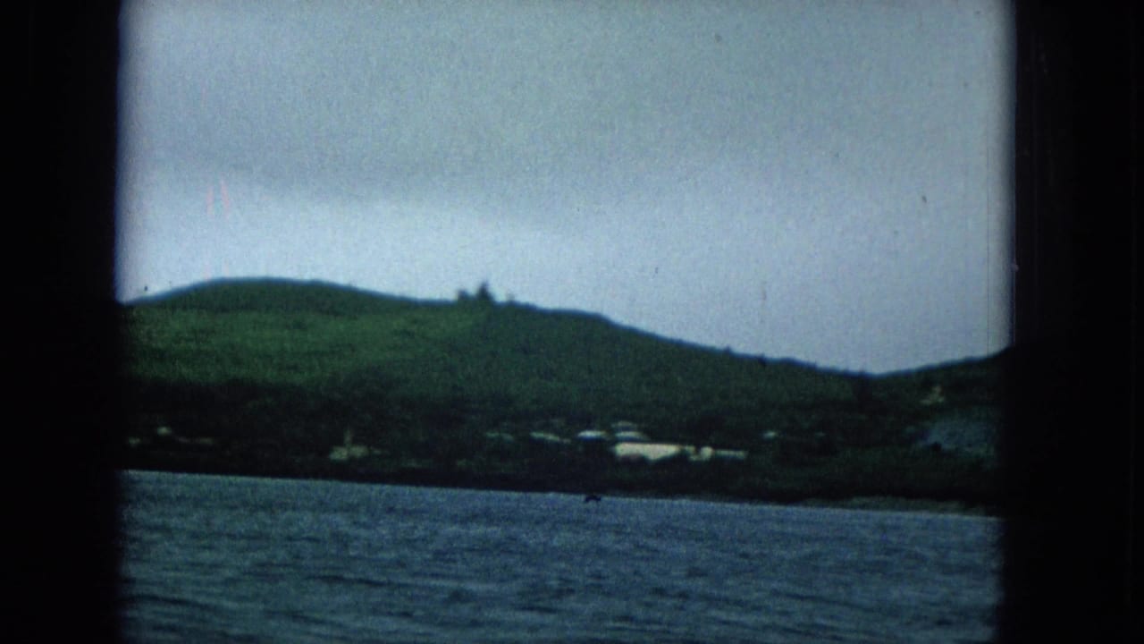 Green coastal hillside behind blue water with small pale structures along the shore.