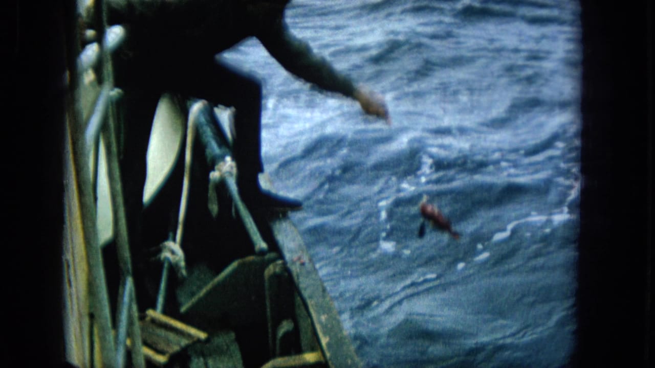 A man on a small boat leans out toward the open ocean in metadata-supported 1965 home-movie footage, with fishing activity visible near the water.
