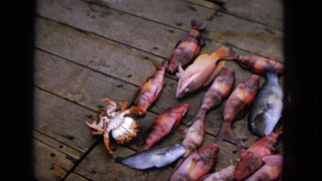 1965 8mm home-movie frame showing several freshly caught fish and a crab lying on a weathered wooden deck, with dark film gate borders visible.