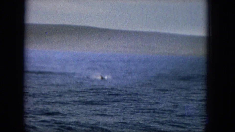 A 1960s home-movie view through a window shows open water, a hazy shoreline, and a small bright object or splash on the sea surface.